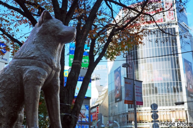 渋谷駅のイメージ画像