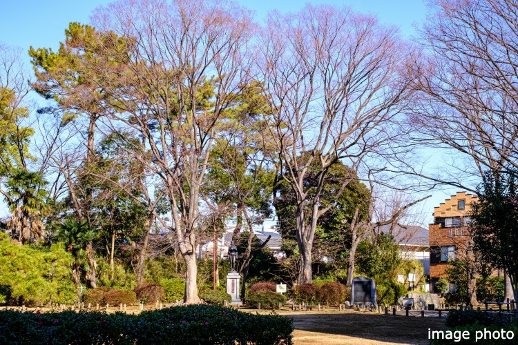 蕨城址公園のイメージ画像